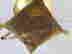 item-129743677=11