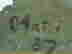 item-129743687=3