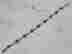 item-129743887=2