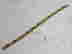 item-129743897=2
