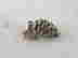 item-129743906=2