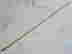 item-129743995=2