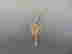item-129744174=2