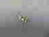 item-129744174=3
