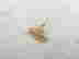 item-129744616=3