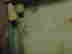 item-129746077=6