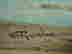 item-129746162=4