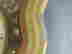 item-129746362=6