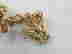 item-131038845=5