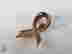 item-131353418=2