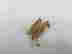 item-131354117=2