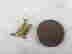 item-131354117=3