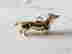 item-131361256=2