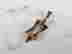 item-131683730=2