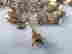 item-131685905=10