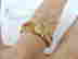 item-131626318=5