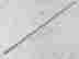 item-131626656=4