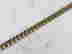 item-131626781=2