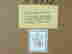 item-133733461=7