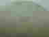item-133733540=4