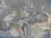 item-134437463=4