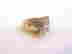 item-135801389=5