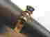 item-135801986=2
