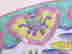 item-136215939=3