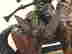 item-136216059=6