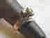 item-136609789=2