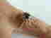 item-136610142=5