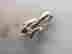 item-136610627=2