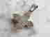 item-136610734=2