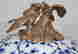 item-137191334=5