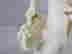 item-137191516=3