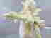 item-137191516=7