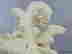 item-137191516=8