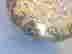 item-137191542=3