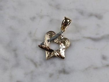 Womens 10k Yellow Gold Jewish Judaica Star of David Heart Pendant
