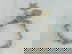 item-204082550=1