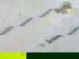item-204082550=2