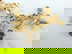 item-204093179=2