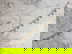 item-204093550=1