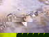 item-204093573=3