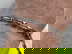 item-204093774=5