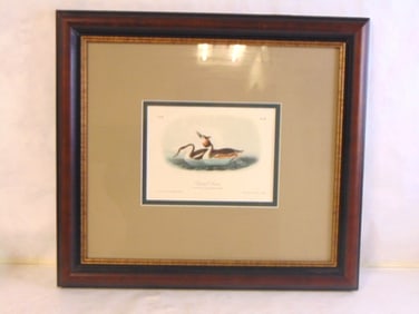 VINTAGE ANTIQUE AUDUBON BOOK PLATE FRAME CRESTED GREBE