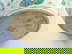 item-207657500=8