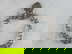 item-207657810=1