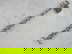 item-207657810=2