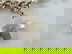 item-207658024=3